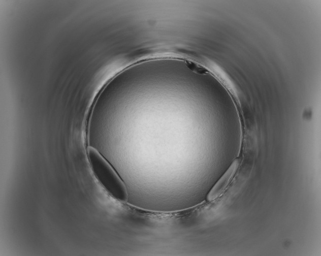 X0000096700813200802261603