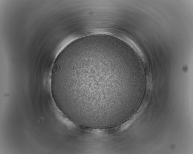 X0000096700814200802261603
