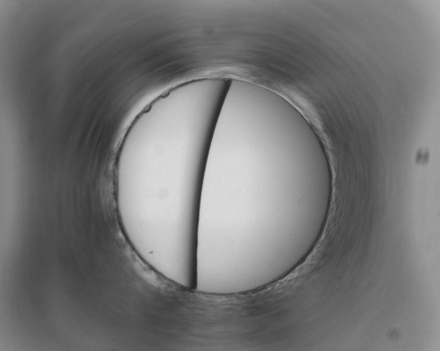X0000096700816200802261603