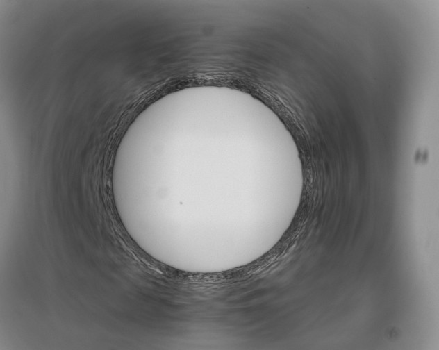 X0000096700817200802261603
