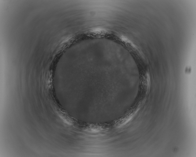 X0000096700818200802261603