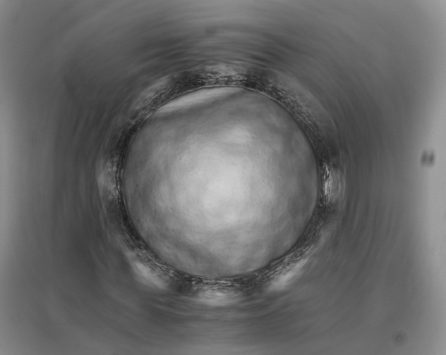 X0000096700819200802261603