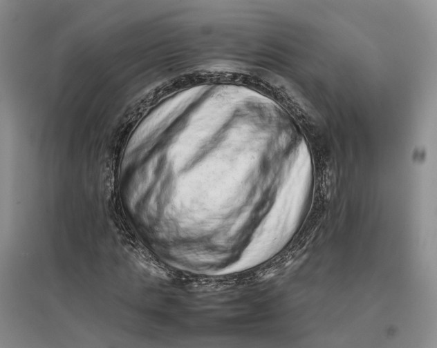 X0000096700821200802261603