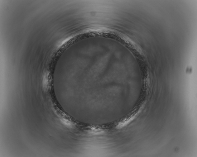 X0000096700822200802261603
