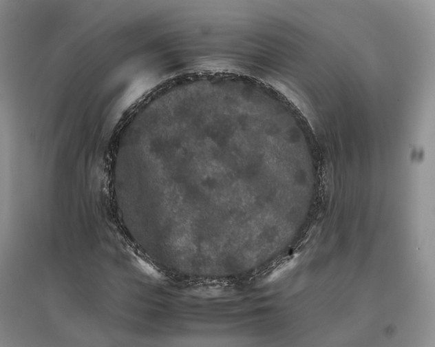 X0000096700823200802261603