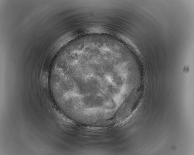 X0000096700825200802261603