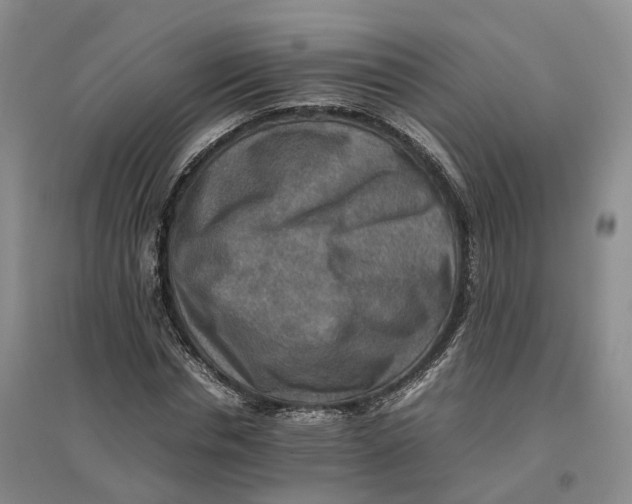 X0000096700826200802261603