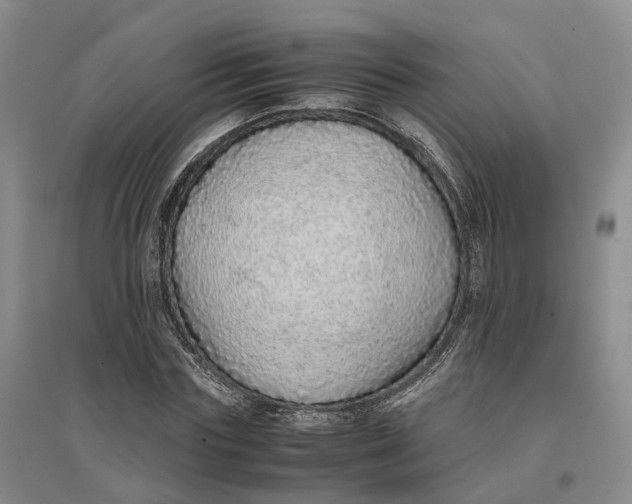 X0000096700827200802261603