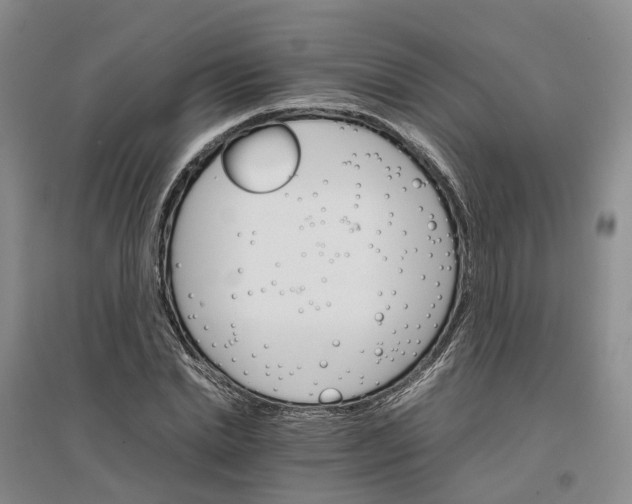 X0000096700830200802261603