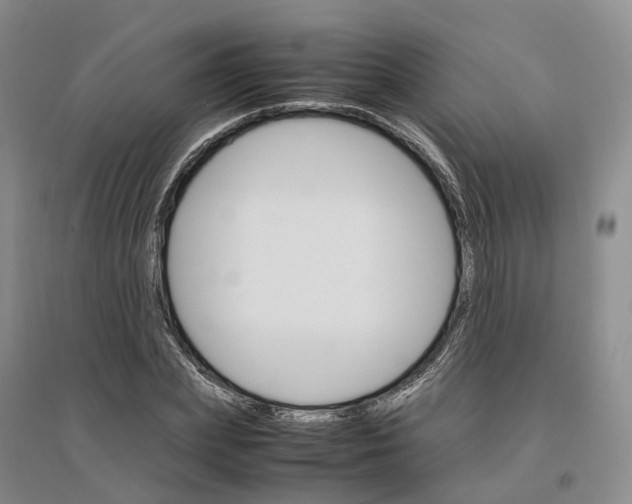 X0000096700831200802261603