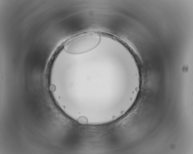 X0000096700832200802261603