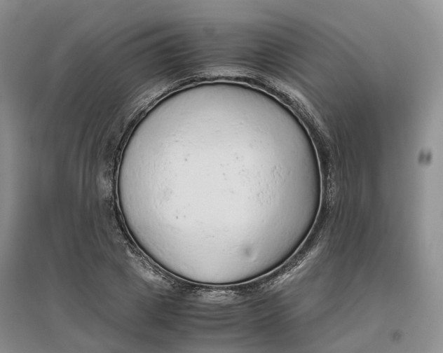 X0000096700833200802261603