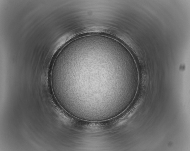 X0000096700834200802261603