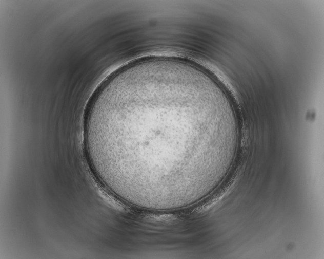 X0000096700837200802261603