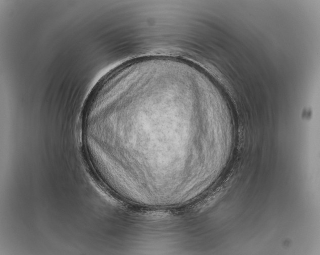 X0000096700838200802261603