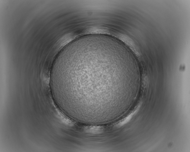 X0000096700841200802261603
