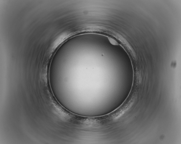 X0000096700842200802261603