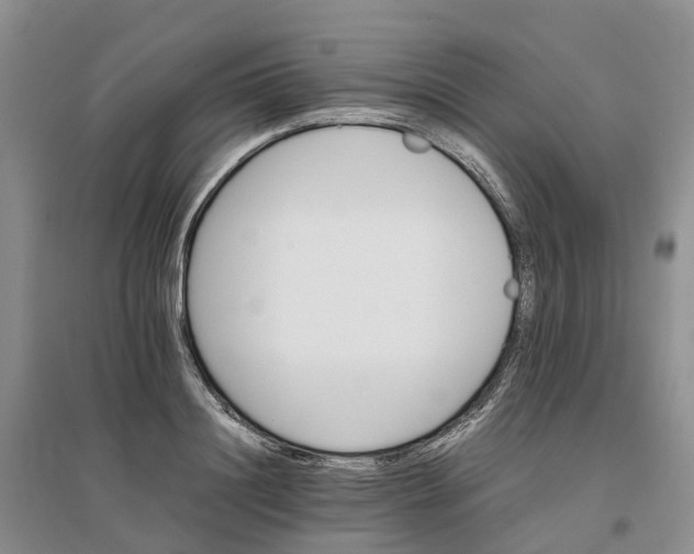 X0000096700844200802261603