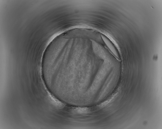 X0000096700845200802261603