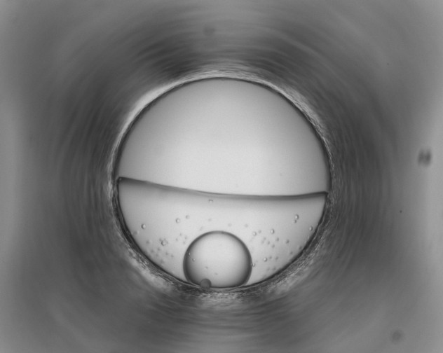 X0000096700846200802261603