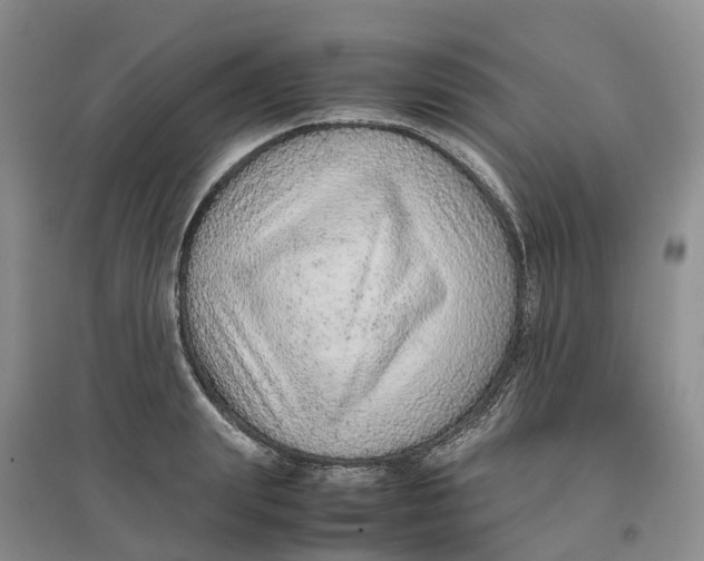 X0000096700847200802261603