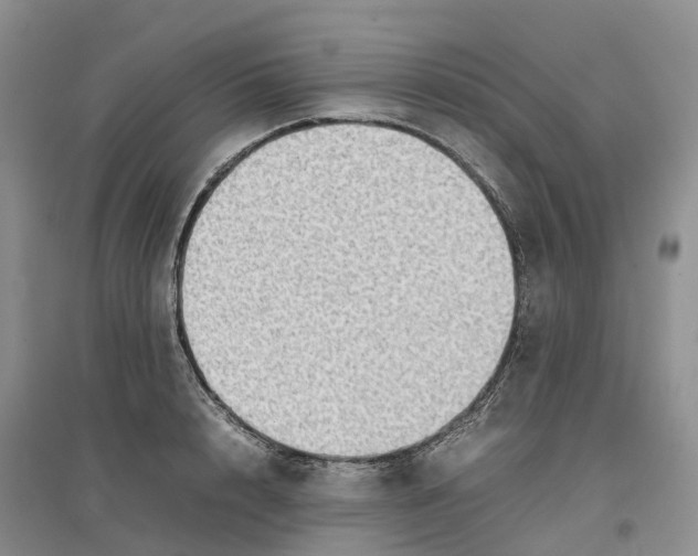 X0000096700848200802261603
