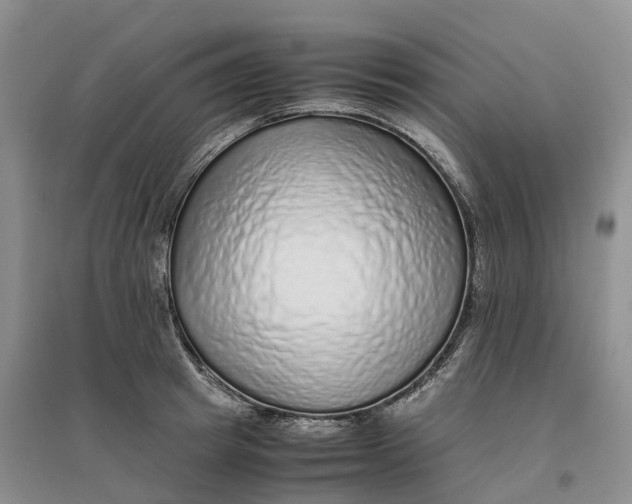 X0000096700849200802261603