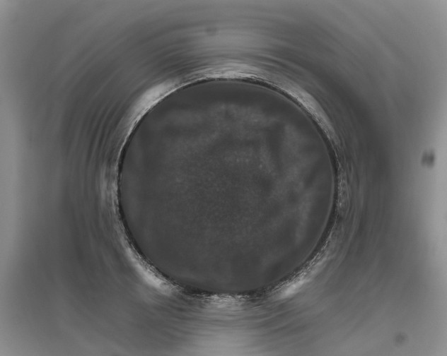 X0000096700850200802261603