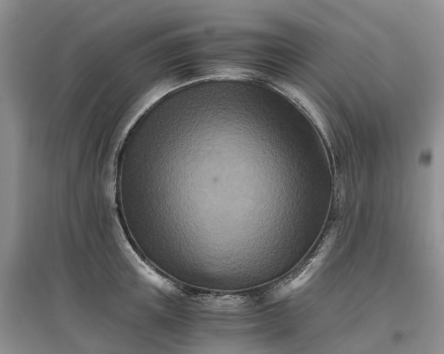 X0000096700851200802261603