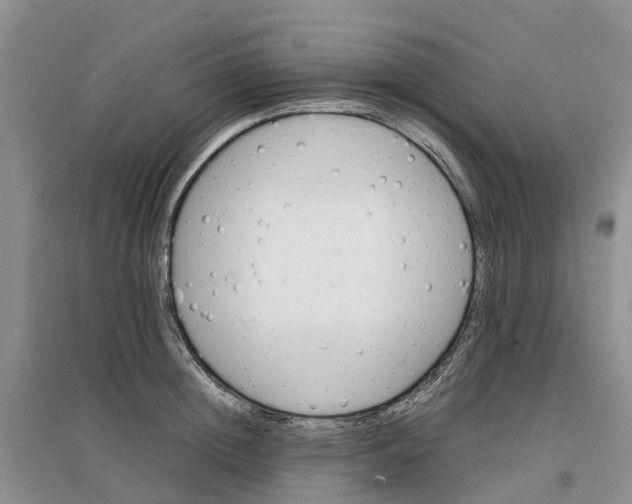X0000096700852200802261603