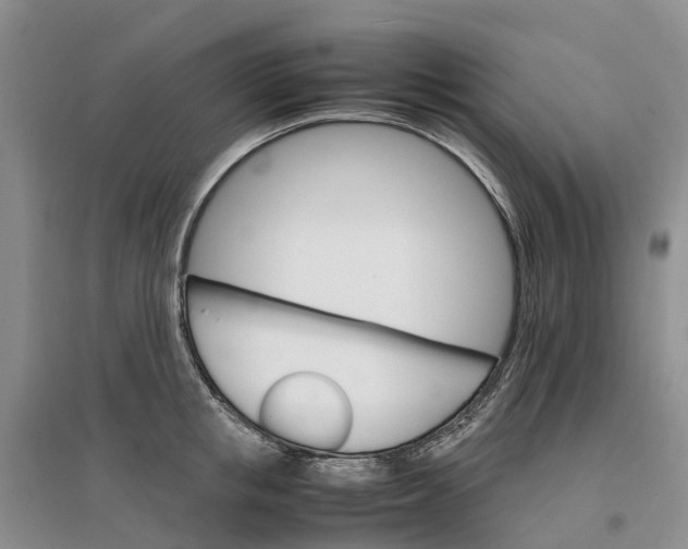 X0000096700853200802261603