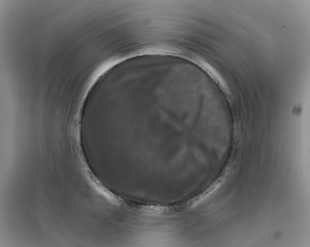 X0000096700854200802261603