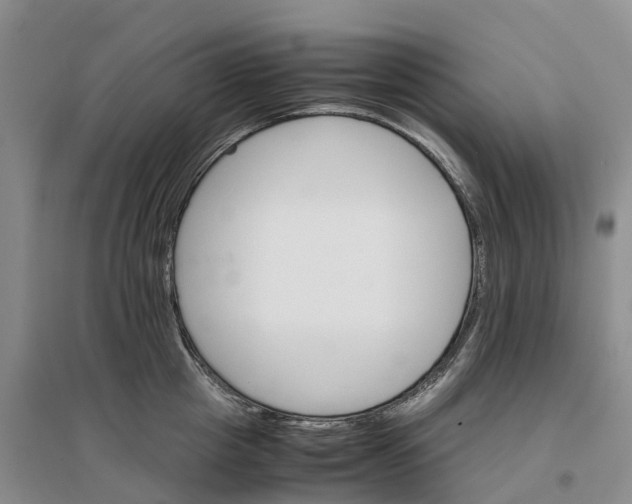 X0000096700857200802261603