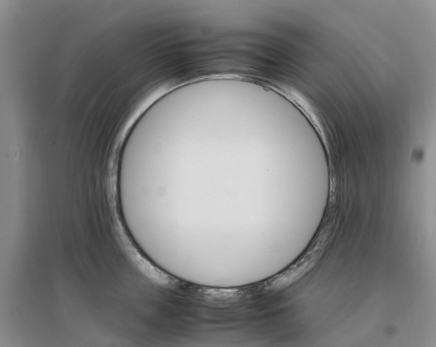 X0000096700859200802261603