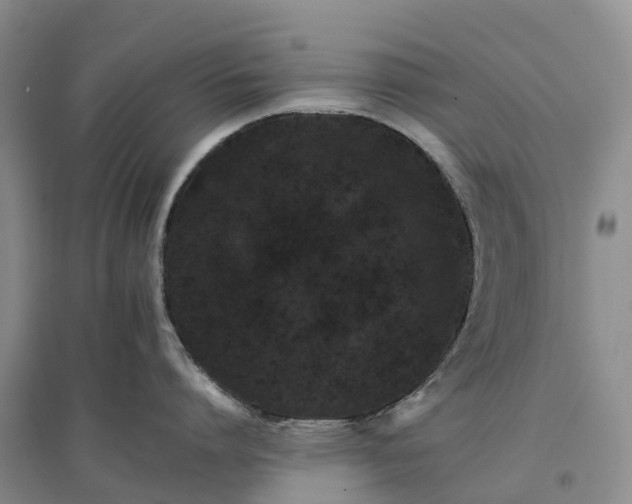 X0000096700864200802261603
