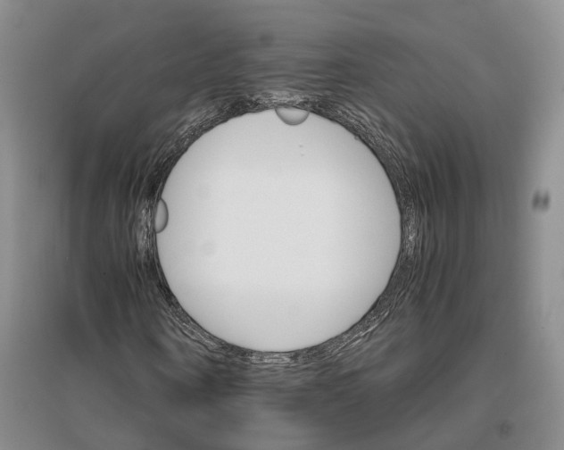 X0000096700866200802261603