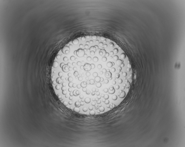 X0000096700867200802261602