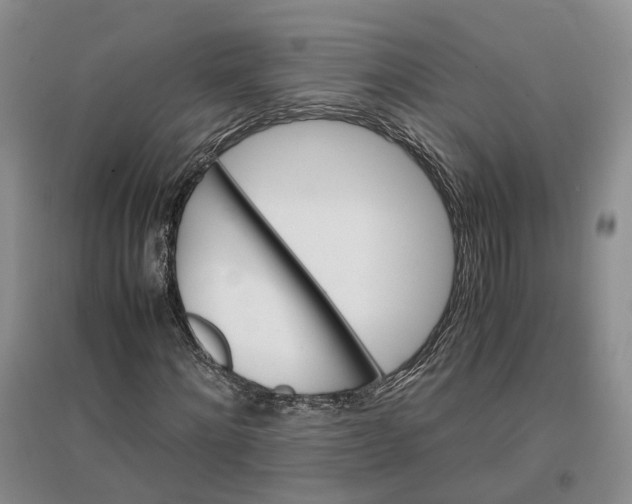 X0000096700868200802261602