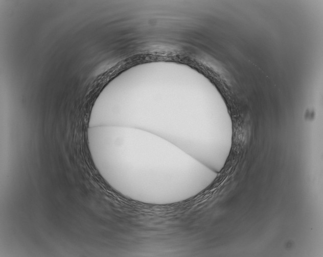 X0000096700869200802261602