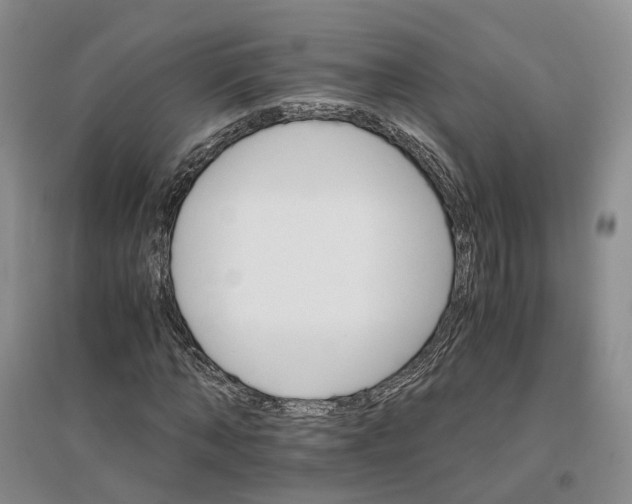 X0000096700870200802261602
