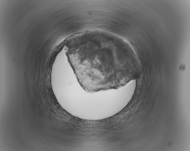 X0000096700871200802261602