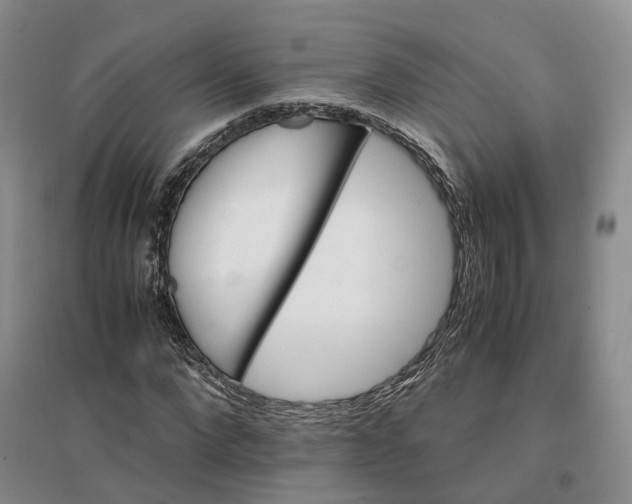 X0000096700872200802261602