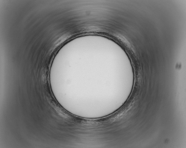 X0000096700873200802261602