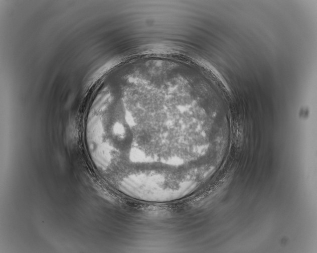 X0000096700874200802261602