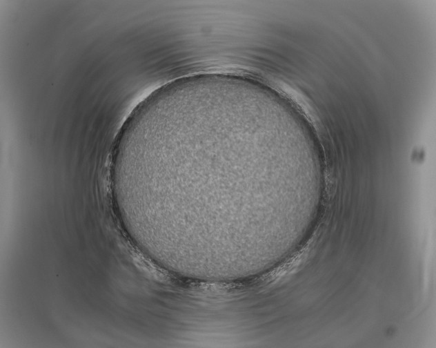X0000096700875200802261602