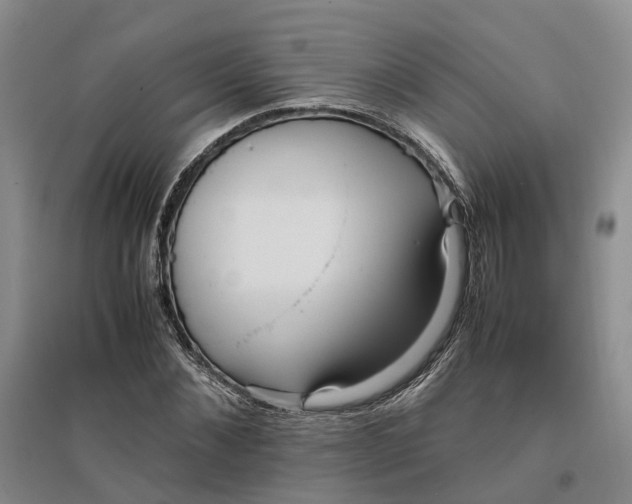 X0000096700876200802261602