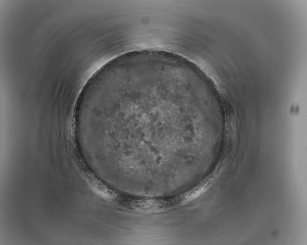X0000096700879200802261602