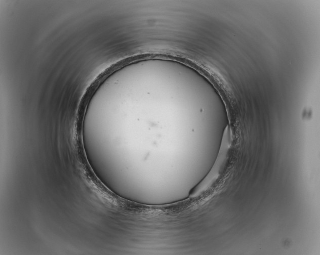 X0000096700880200802261602