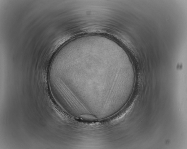 X0000096700881200802261602