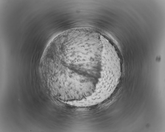 X0000096700883200802261602